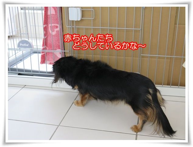 1-20160310.jpg