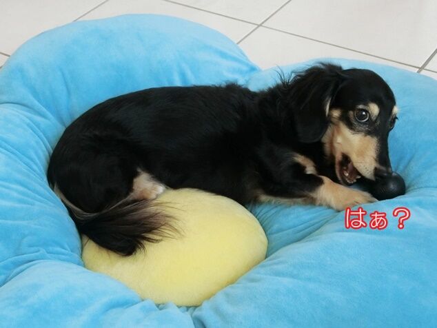 CIMG0315