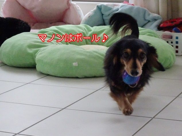 DSC03416