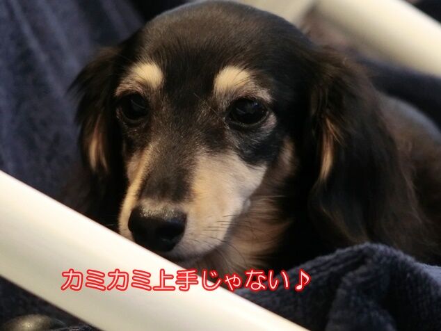 CIMG9737
