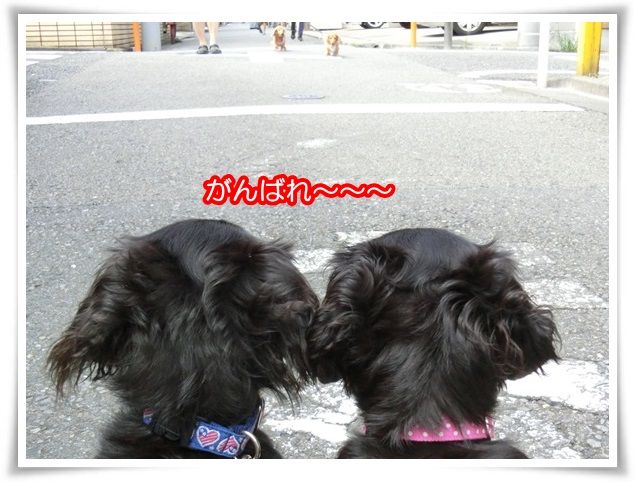 4_201508142033037af.jpg