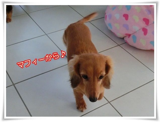 3-20141130.jpg