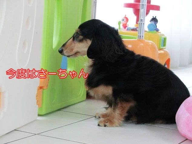 CIMG8031