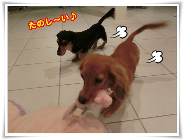 3_201312311030122c3.jpg