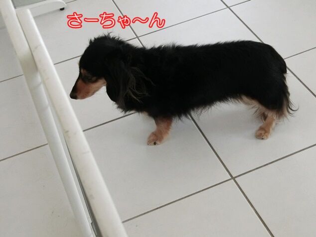 CIMG0579