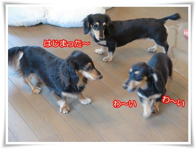 1_201607302129238ed.jpg