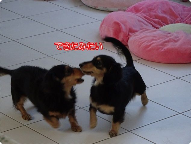 DSC05920