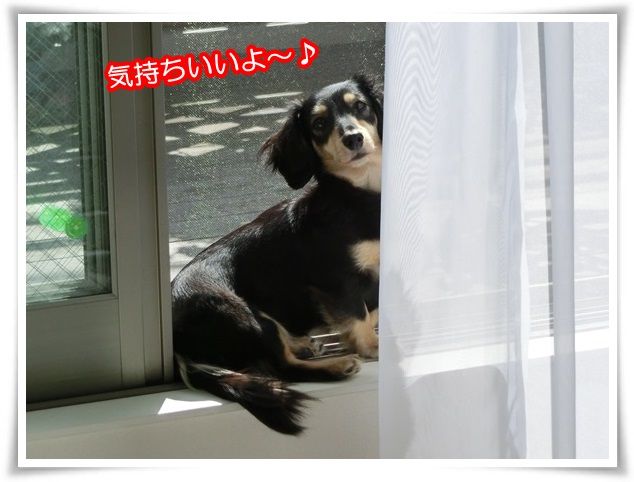 3_20150629220158ba8.jpg