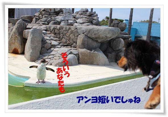 8-20130607.jpg