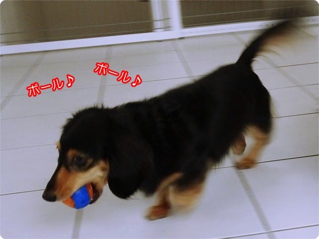 6_Fotor