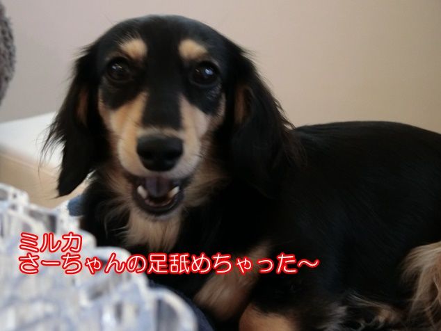 CIMG0034