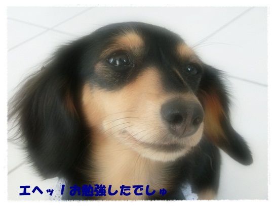 CIMG7899-20121208.jpg