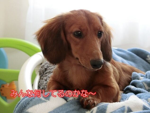 CIMG0282