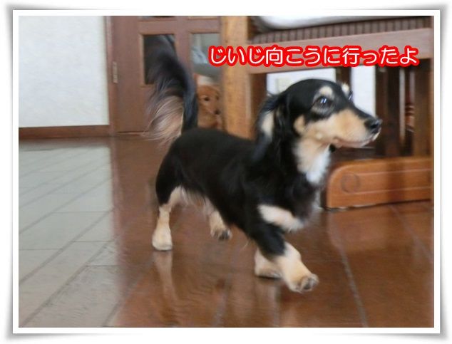 10_2015103020563624d.jpg