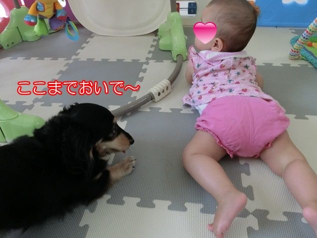 CIMG9744