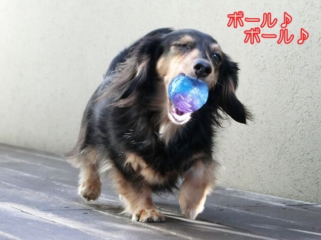 CIMG0307
