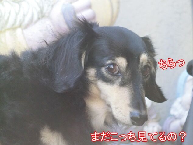 CIMG6079
