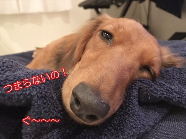 S__36634676
