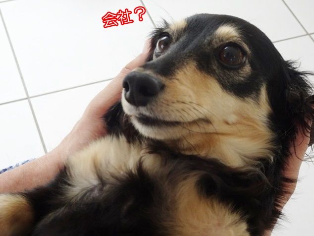 DSC03184