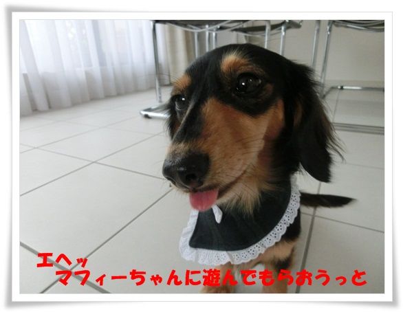 CIMG6923-20121130.jpg