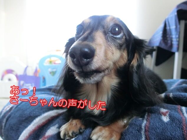CIMG8545
