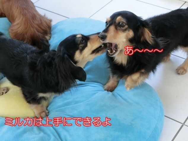 CIMG0164