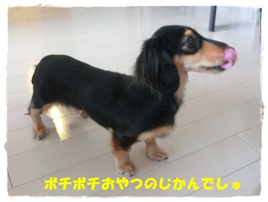 CIMG7202-20121202.jpg