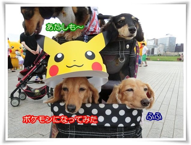 9_201408220931273aa.jpg