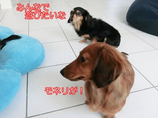 CIMG0880