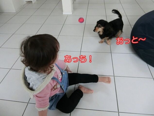 CIMG0962