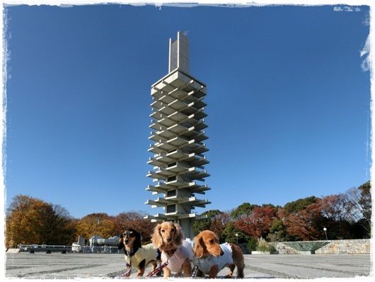 CIMG7562-20121205.jpg