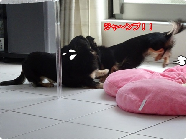 6_Fotor