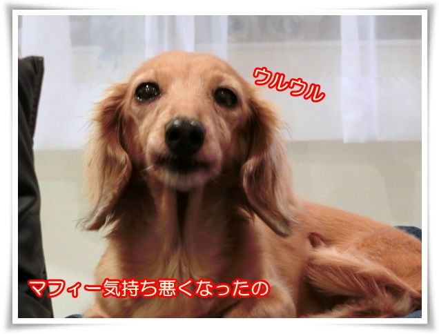 2_201410311026064cf.jpg