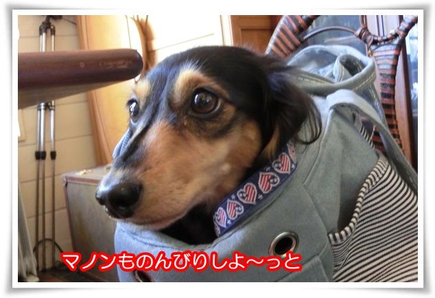 7_2015102720510368e.jpg
