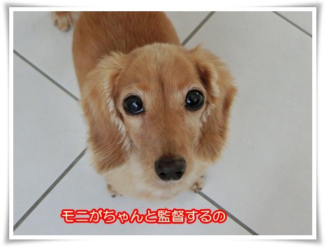 2_201408250828083bb.jpg