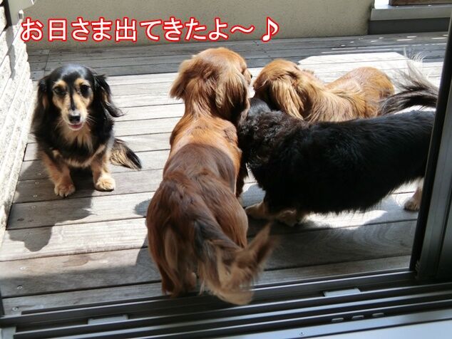 CIMG0716