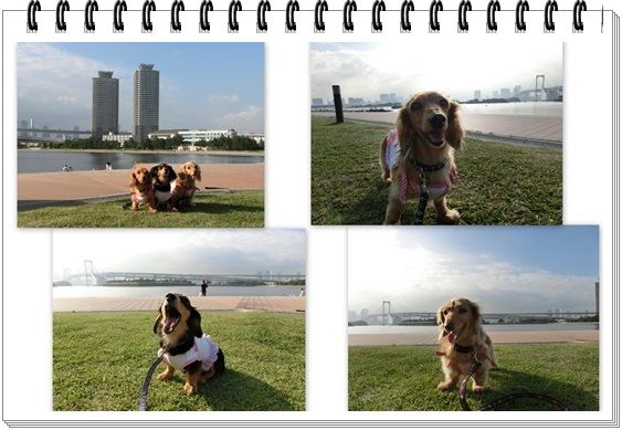 1_20130616202603.jpg