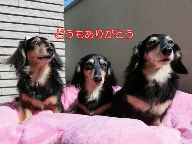 CIMG5170