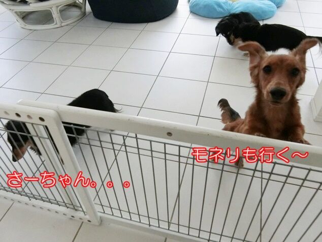 CIMG0568