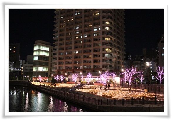 IMG_4644-20121217.jpg