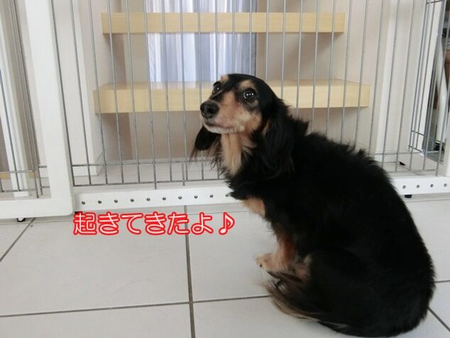 CIMG8544