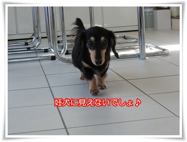 7-20160303.jpg