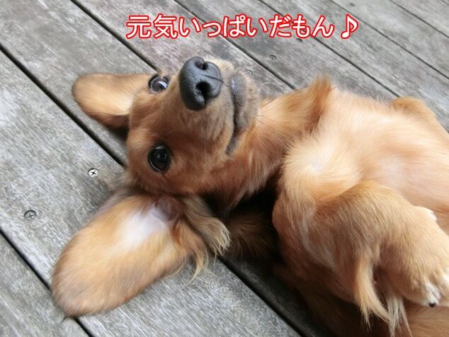 CIMG0144