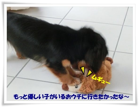 7_20130627130550.jpg