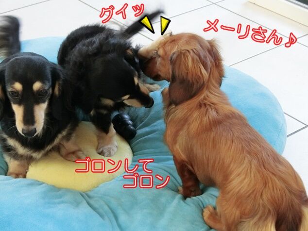CIMG0156