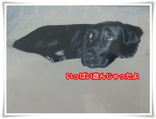 3-20150815.jpg