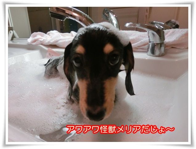 5_20140530205555f67.jpg