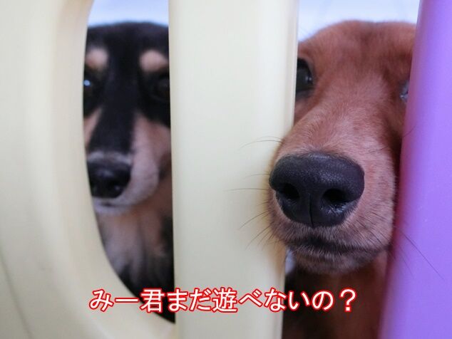 CIMG7676