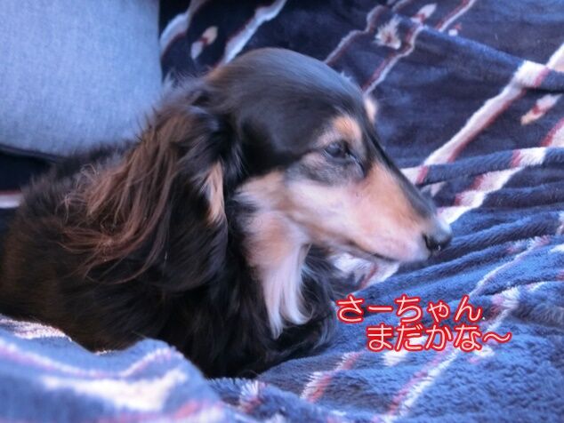 CIMG9597