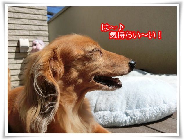 6-20150514.jpg